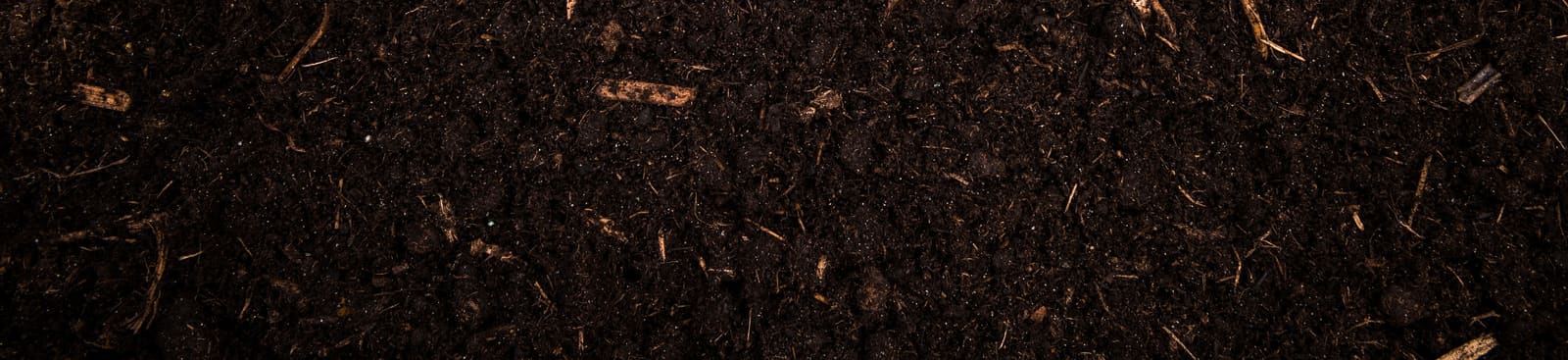 Rich dark soil foundation
