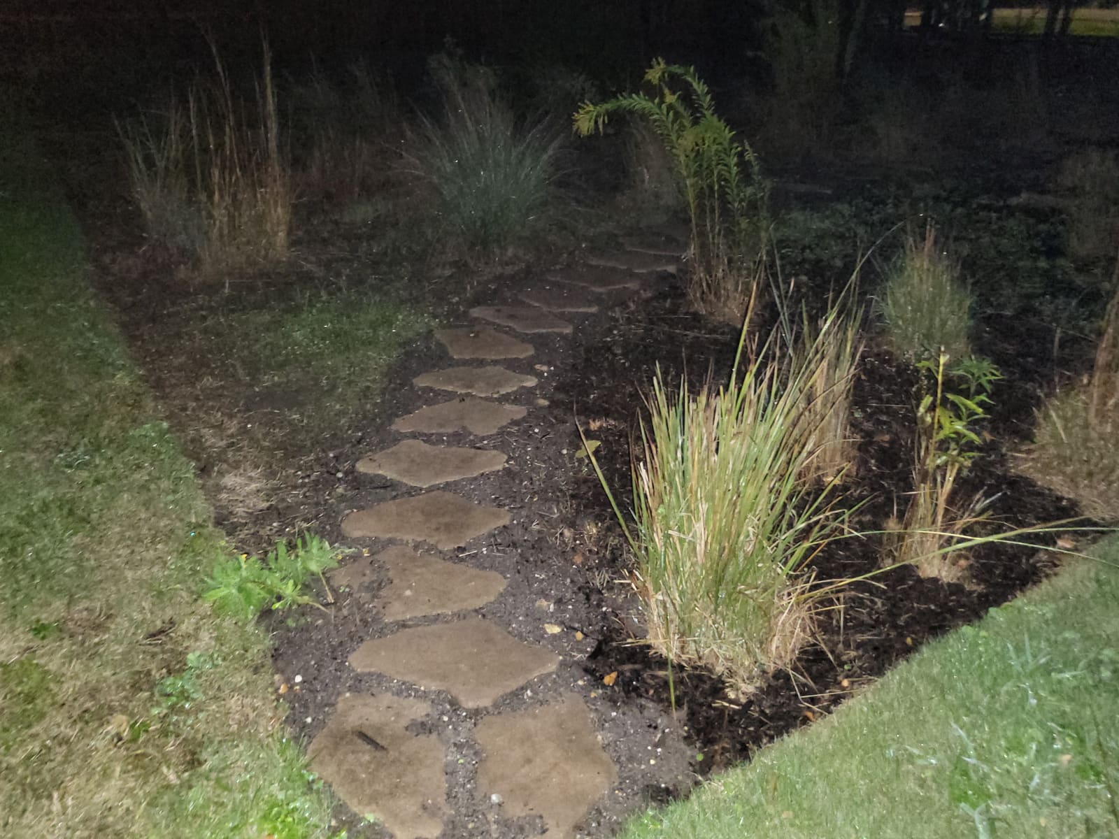 Stepping stones and newly planted grasses lit by camera flash at night