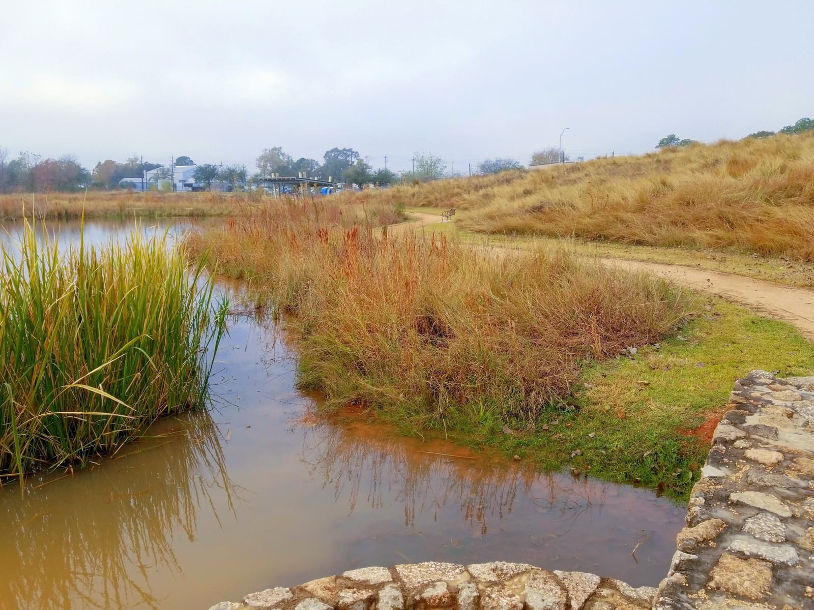 A pond edged in rust colored winter grasses with a stone wall and a path
